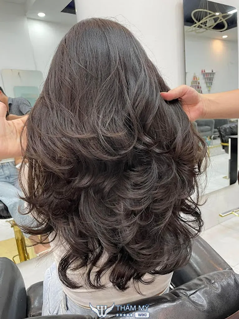 Trọng Alex Hair Studio - Salon Tóc Chuyên Nghiệp Nhà Bè